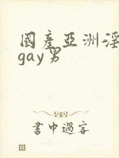 国产亚洲淫青年gay男