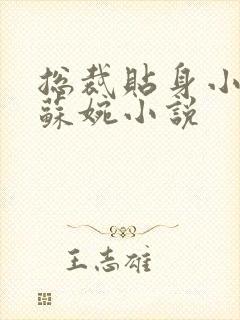 总裁贴身小秘书苏婉小说