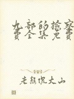 九部的检察官免费全集免费观看