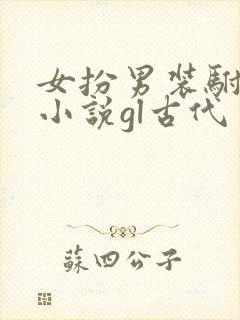 女扮男装驸马的小说gl古代