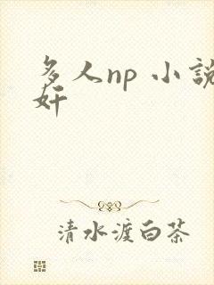 多人np 小说奸