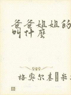 爸爸姐姐的老公叫什么