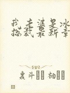 我老婆是冰山女总裁最新章节小说