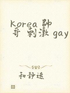 korea 帅哥 刺激 gay片