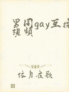男同gay互操视频