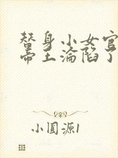 替身小女官腹黑帝王沦陷了
