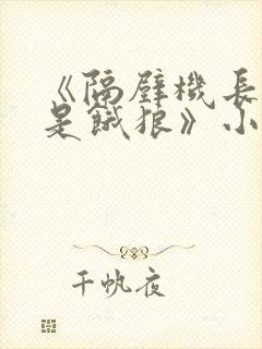 《隔壁机长大叔是饿狼》小说封面