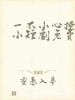 一不小心撩错人小短剧免费看
