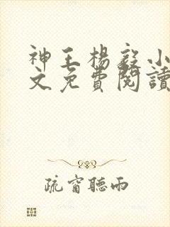 神王杨毅小说全文免费阅读封面