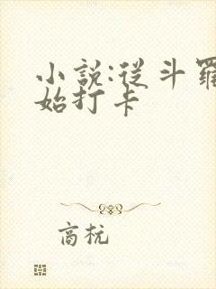 小说:从斗罗开始打卡