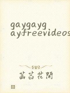gaygaygayfreevideos封面