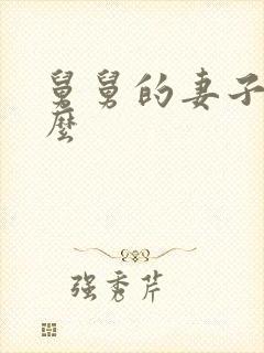 舅舅的妻子叫什么
