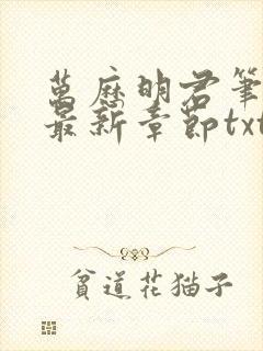 万历明君笔趣阁最新章节txt封面