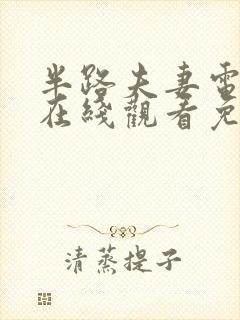 半路夫妻电视剧在线观看免费高清封面