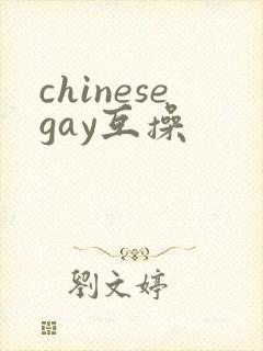 chinesegay互操