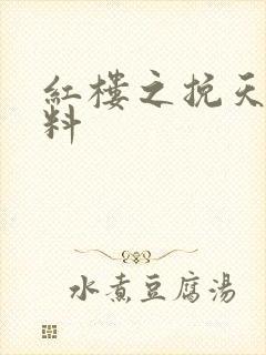 红楼之挽天倾加料