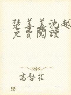 楚善善沈越小说免费阅读