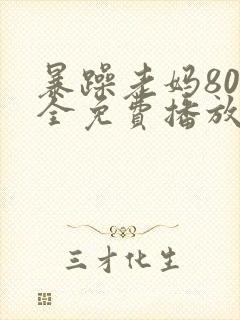 暴躁老妈80集全免费播放电视剧封面