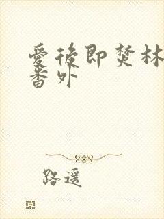 爱后即焚林啸也番外