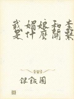 武媚娘和李世民是什么关系封面