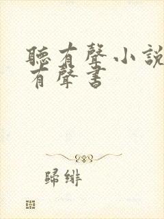 听有声小说大全有声书