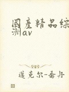 国产精品综合亚洲av