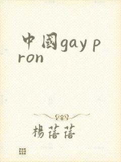 中国gay pron