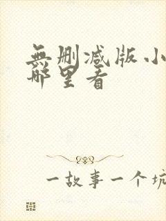 无删减版小说在哪里看封面