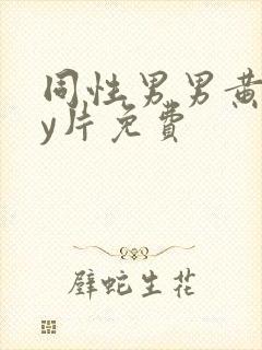同性男男黄gay片免费