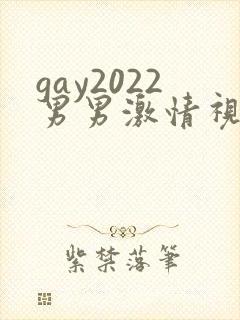 gay2022男男激情视频