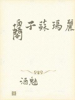 傻子苏玛丽笔趣阁封面