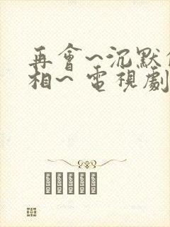 再会~沉默的真相~ 电视剧在线观看封面