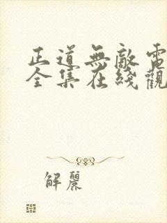 正道无敌电视剧全集在线观看免费
