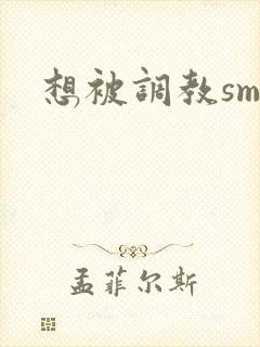 想被调教sm文