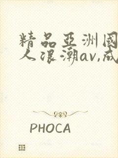 精品亚洲国产成人浪潮av,成人激