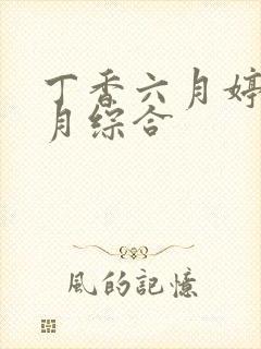 丁香六月婷婷六月综合封面