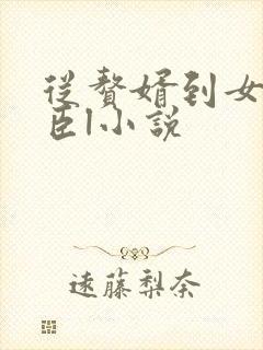 从赘婿到女帝宠臣l小说