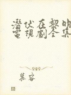 潜伏在黎明之前电视剧全集免费观看