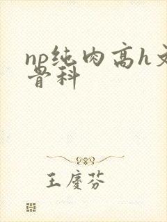 np纯肉高h文骨科封面
