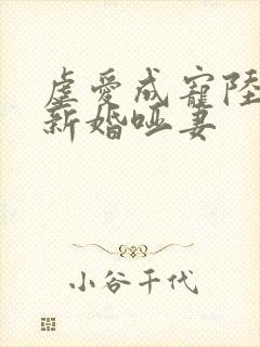 虐爱成宠陆总的新婚哑妻