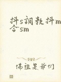 抖s调教抖m百合sm封面