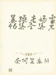 暴躁老妈电视剧46集全集免费播放在线