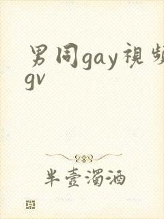 男同gay视频gv