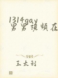 1314gay男男视频在线观看
