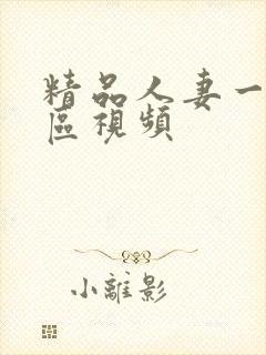 精品人妻一区二区视频