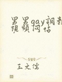 男男gay调教视频网站