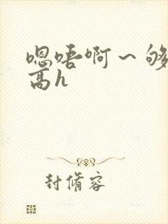 嗯唔啊～够了啊高h
