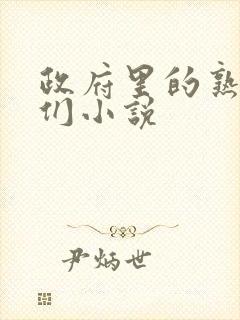 政府里的熟妇女们小说