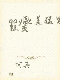 gay欧美猛男粗爽