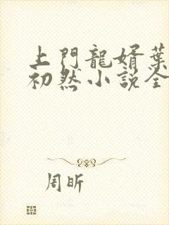 上门龙婿叶辰萧初然小说全集